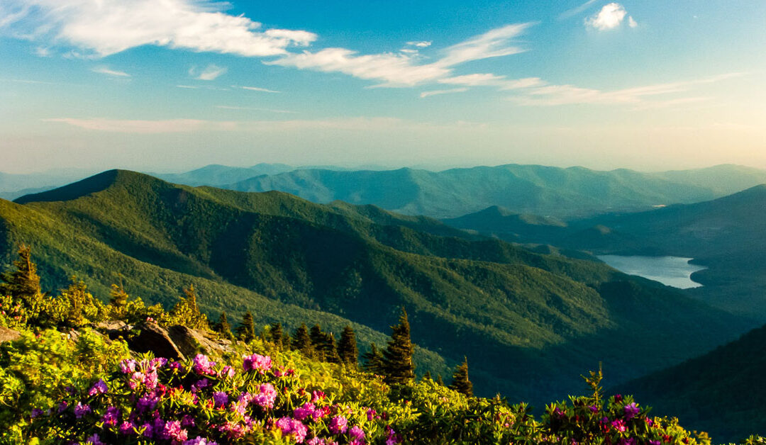 Time To Visit Asheville: Learn Why Its A Top Trending Travel Destination