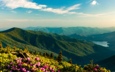 Time To Visit Asheville: Learn Why Its A Top Trending Travel Destination